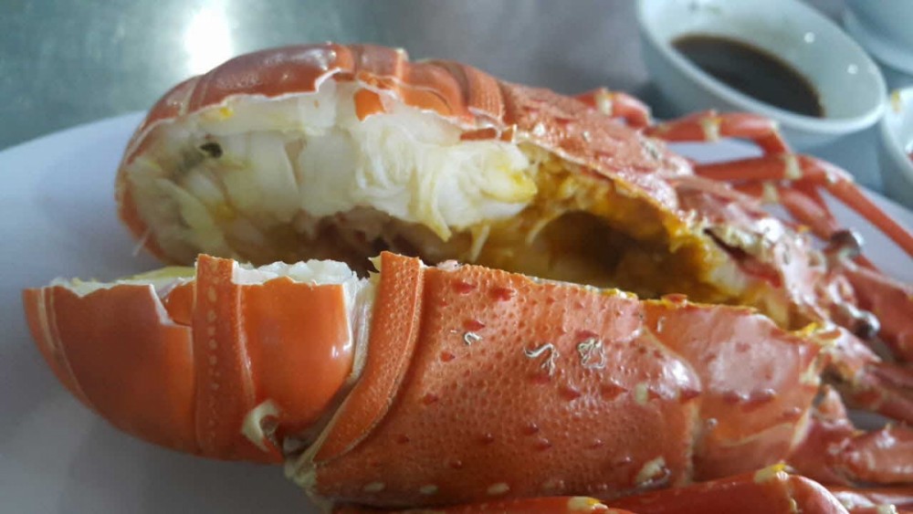 Bé Mặn 4