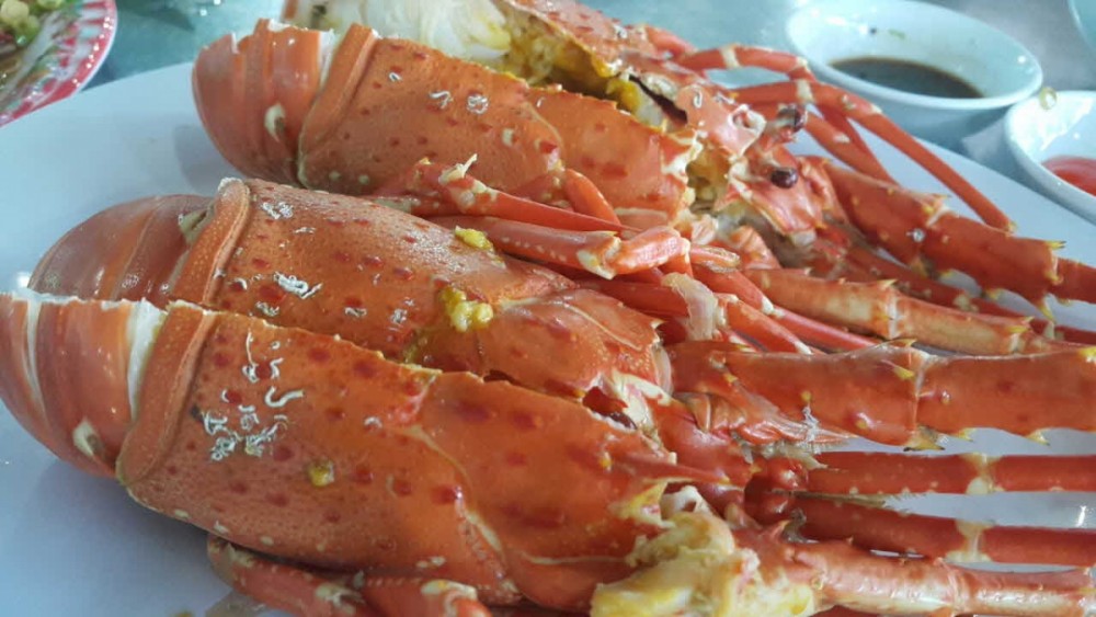 Bé Mặn 5